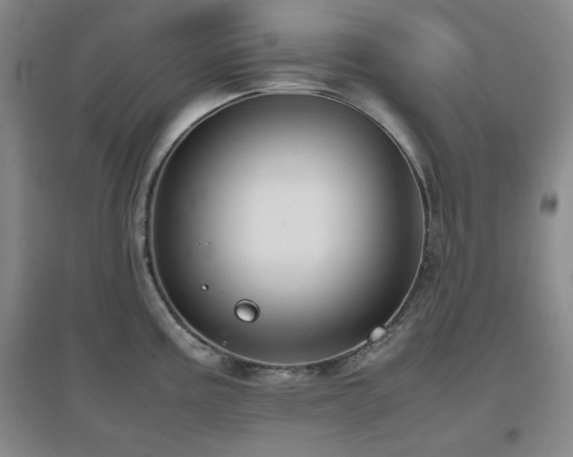 X0000097661195200802291419
