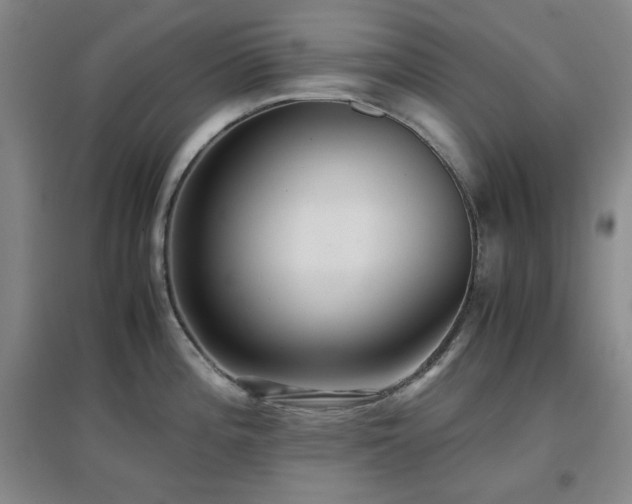 X0000097661196200802291419