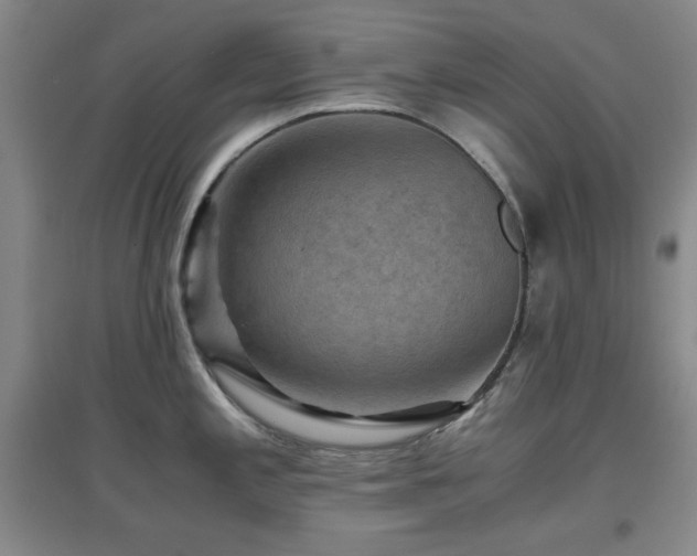 X0000097661197200802291418