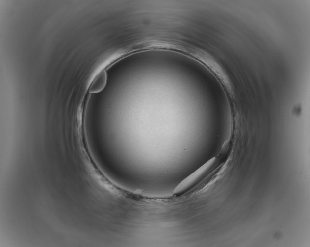 X0000097661198200802291418