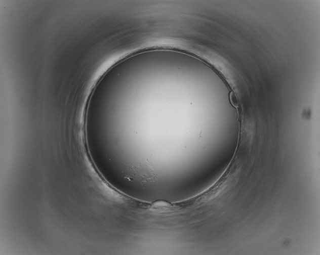 X0000097661199200802291418