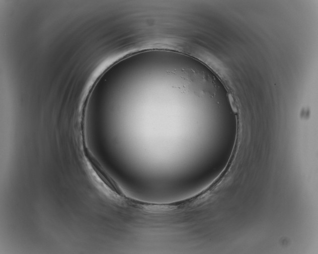 X0000097661200200802291418