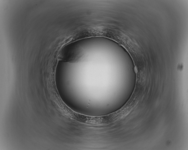 X0000097661201200802291418