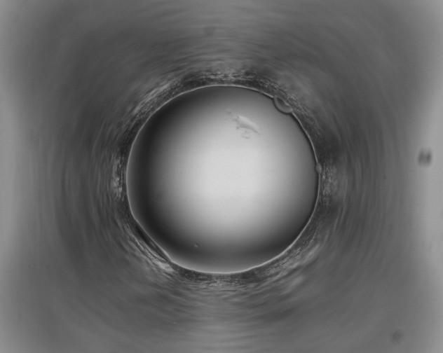 X0000097661202200802291418