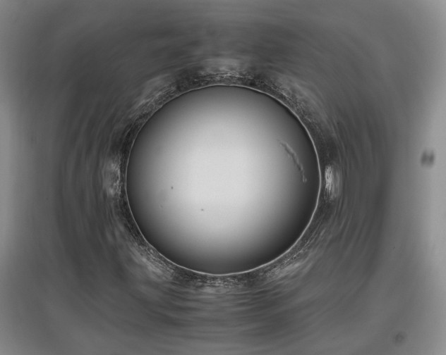 X0000097661203200802291418