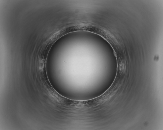 X0000097661204200802291418