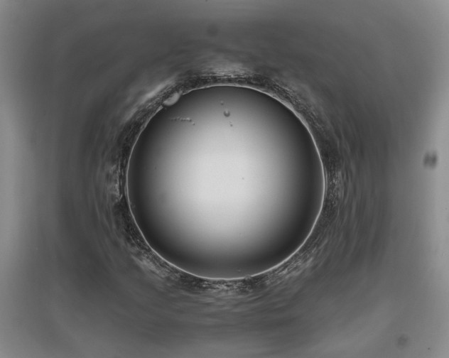 X0000097661205200802291418