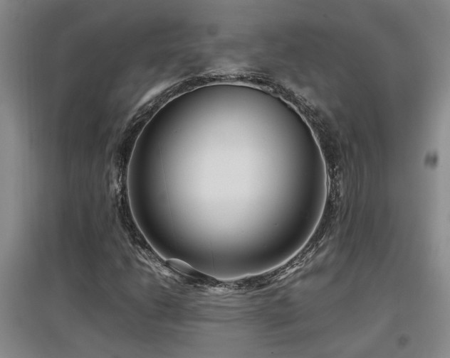 X0000097661206200802291418