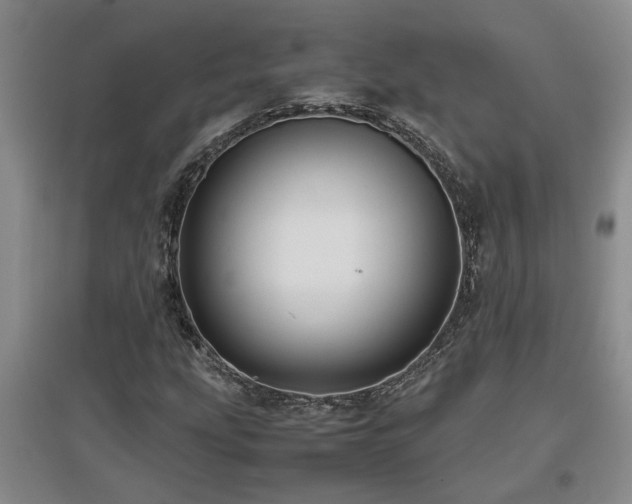 X0000097661207200802291418