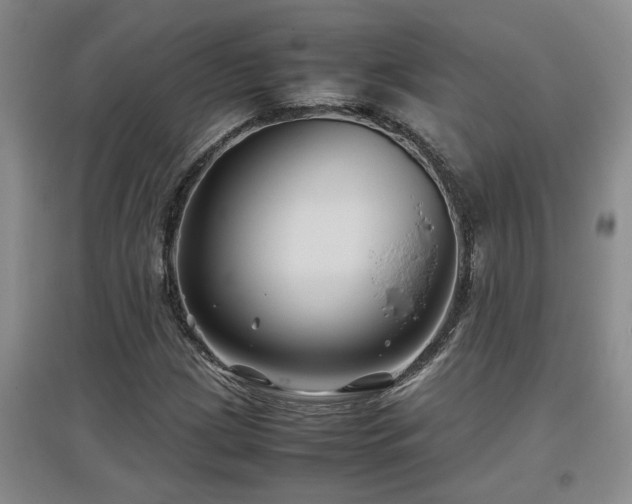 X0000097661209200802291418