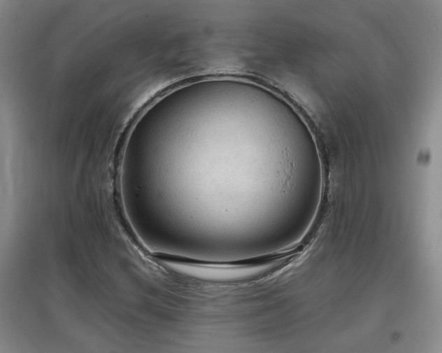 X0000097661212200802291418