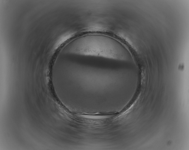 X0000097661213200802291418