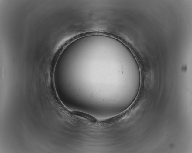 X0000097661214200802291418
