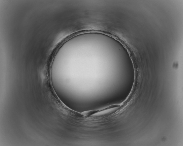 X0000097661215200802291418