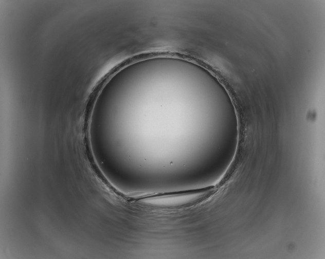 X0000097661216200802291418