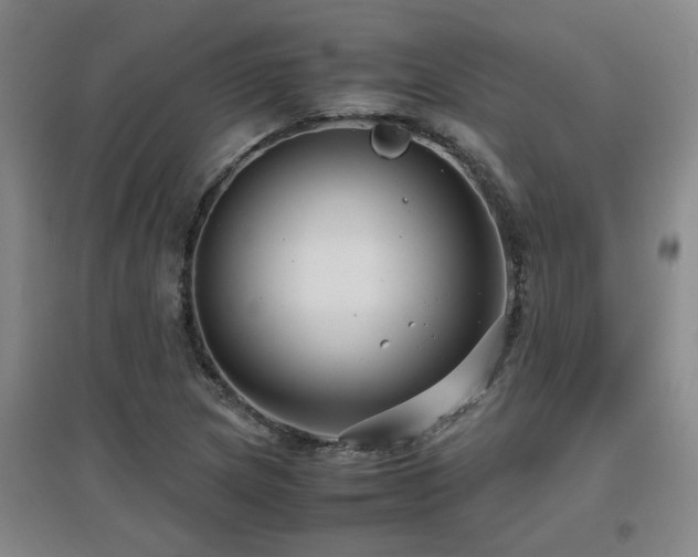 X0000097661217200802291418