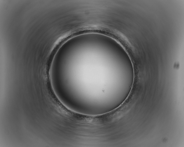 X0000097661218200802291418