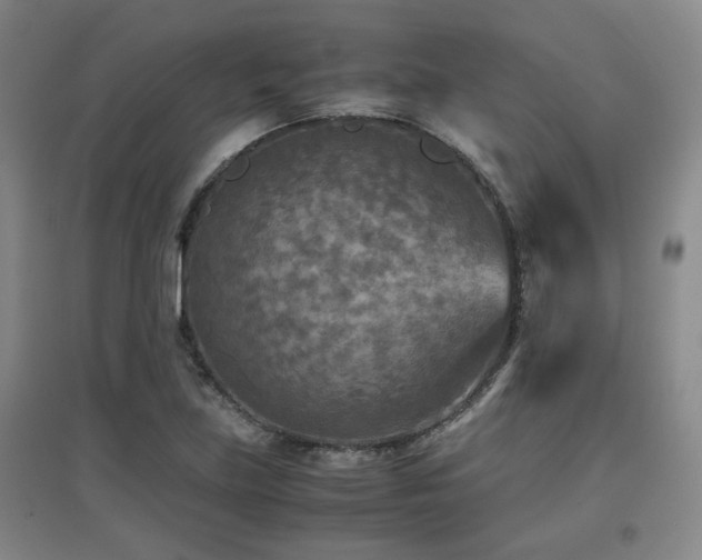 X0000097661219200802291418