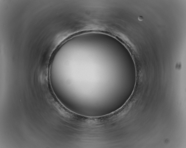 X0000097661220200802291418