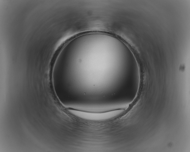 X0000097661222200802291418