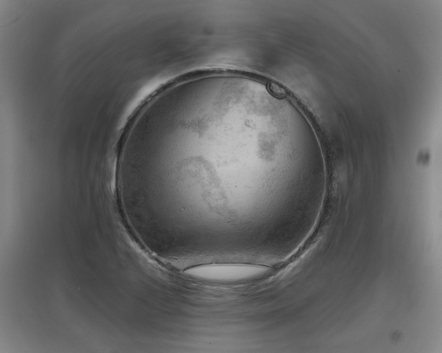 X0000097661224200802291418