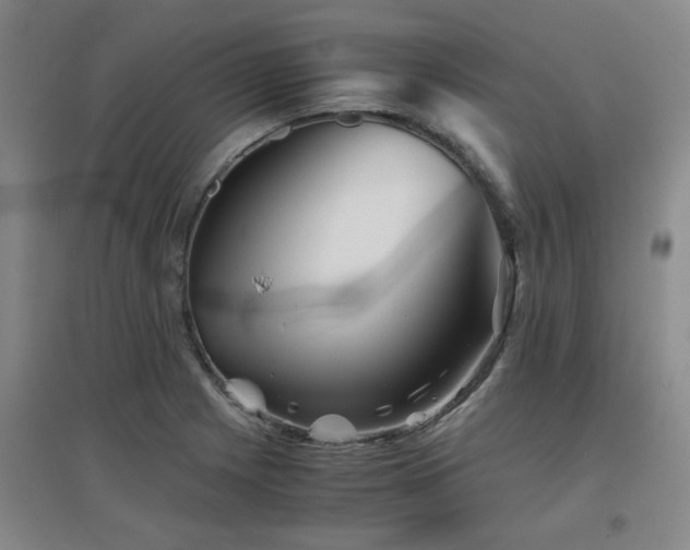 X0000097661225200802291418