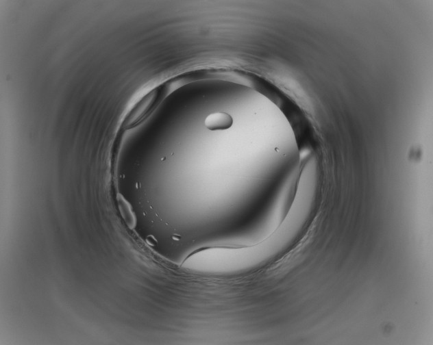 X0000097661226200802291418
