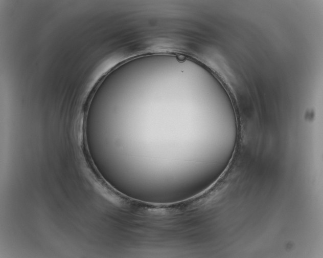 X0000097661227200802291418