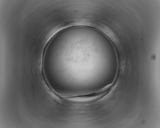 X0000097661228200802291418