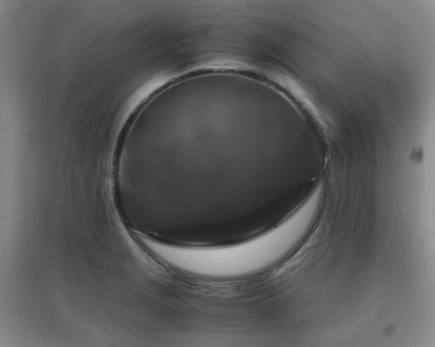 X0000097661229200802291418
