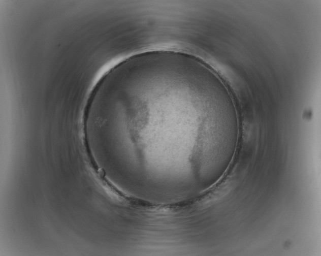 X0000097661230200802291418