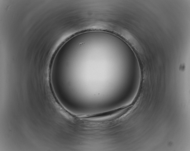 X0000097661232200802291418