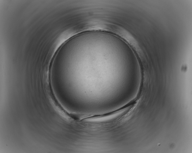 X0000097661234200802291418