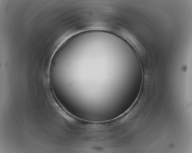X0000097661236200802291418