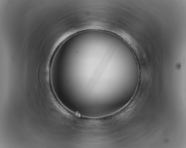 X0000097661238200802291418