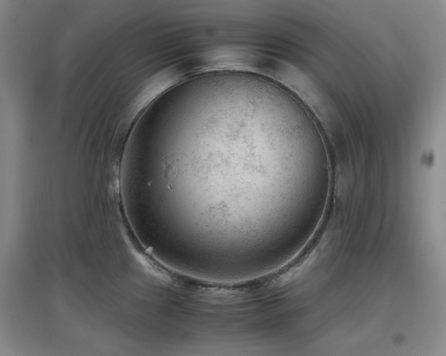 X0000097661241200802291418