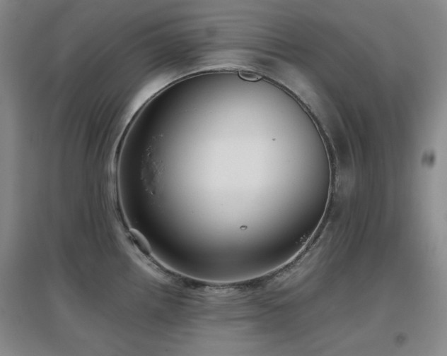 X0000097661242200802291418