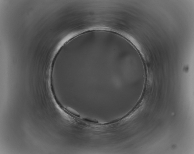 X0000097661245200802291418