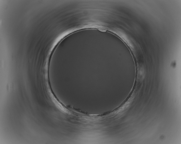 X0000097661246200802291418