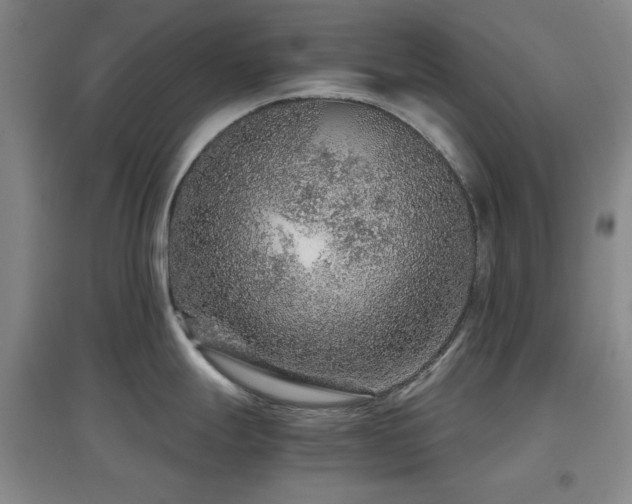 X0000097661247200802291418
