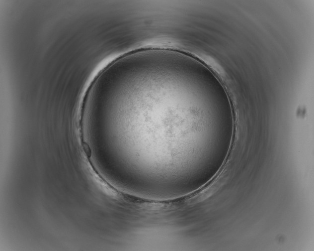 X0000097661248200802291418
