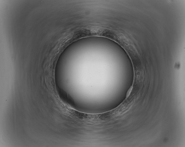 X0000097661249200802291418