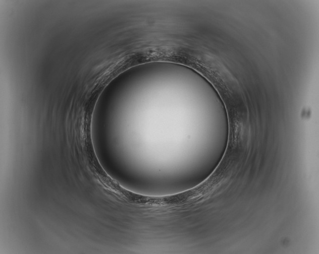 X0000097661250200802291418
