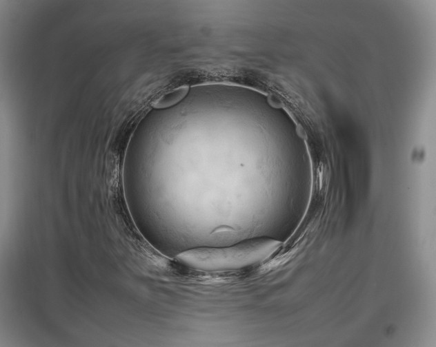 X0000097661251200802291418
