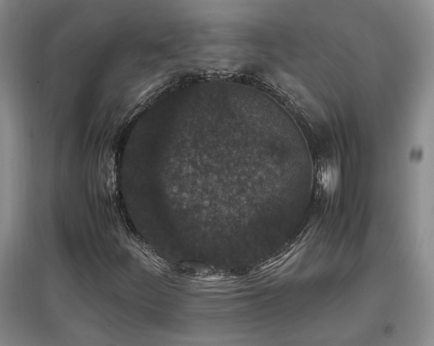 X0000097661252200802291418