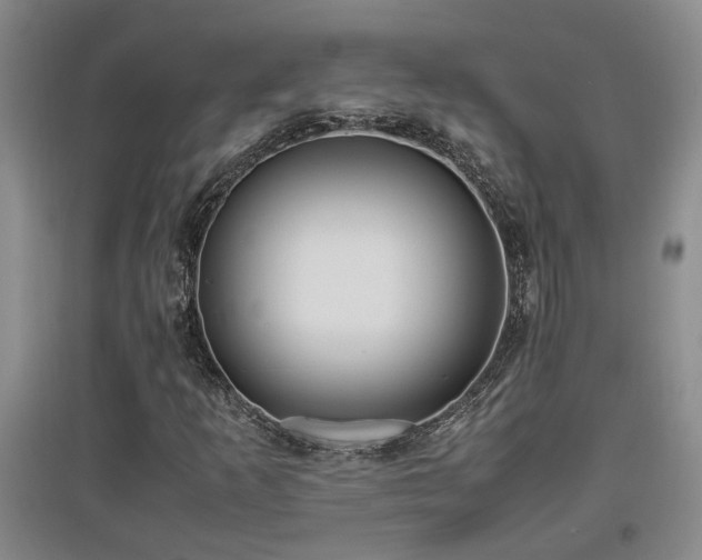 X0000097661253200802291418