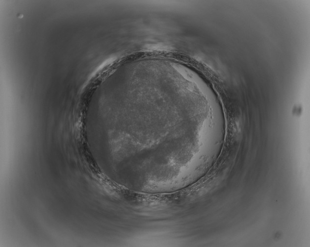 X0000097661254200802291417