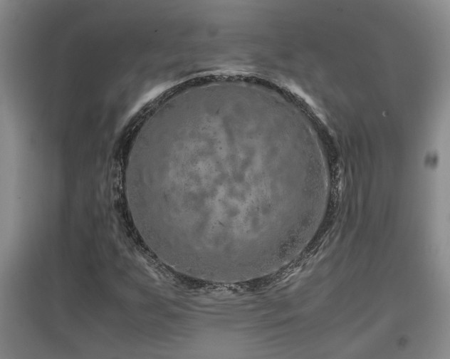 X0000097661255200802291417