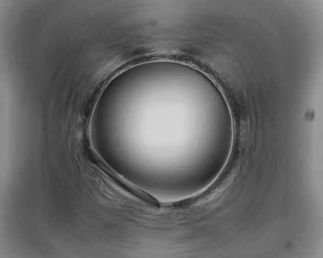 X0000097661257200802291417