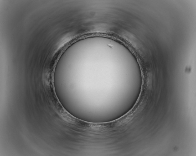 X0000097661258200802291417